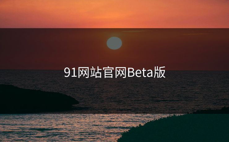 91网站官网Beta版
