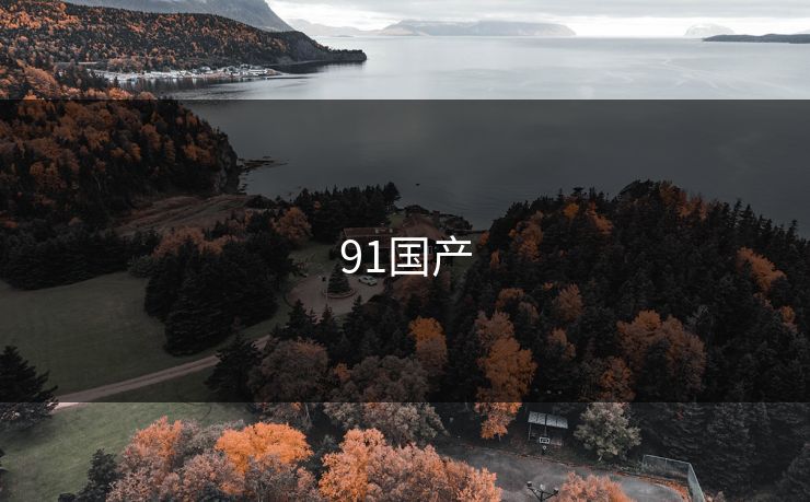91国产