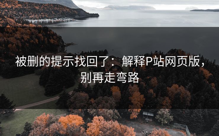 被删的提示找回了：解释P站网页版，别再走弯路