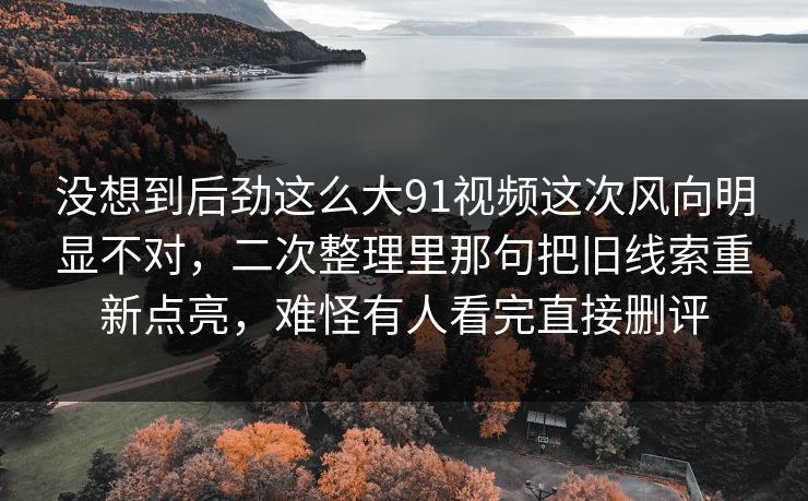 没想到后劲这么大91视频这次风向明显不对，二次整理里那句把旧线索重新点亮，难怪有人看完直接删评