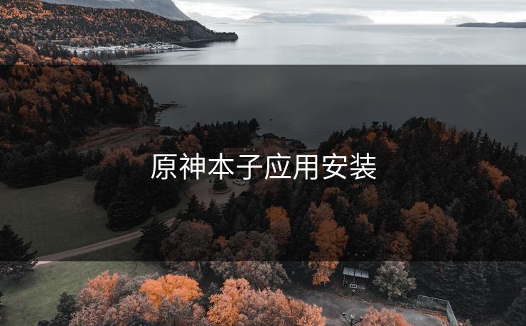 原神本子应用安装
