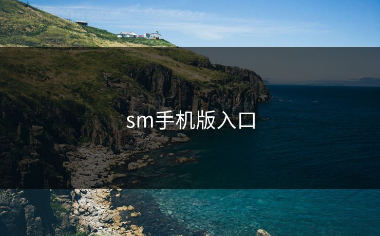 sm手机版入口